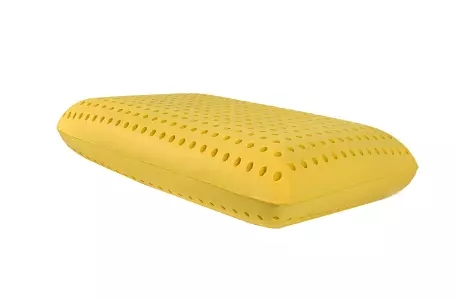 Healthy Foam Zoned Memory Foam Sleeping Pillow for Adults